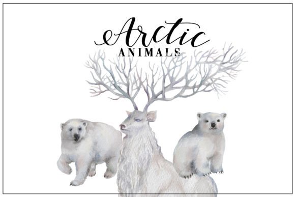 Download Winter Arctic Animals, Watercolor Pack - Animal Collection