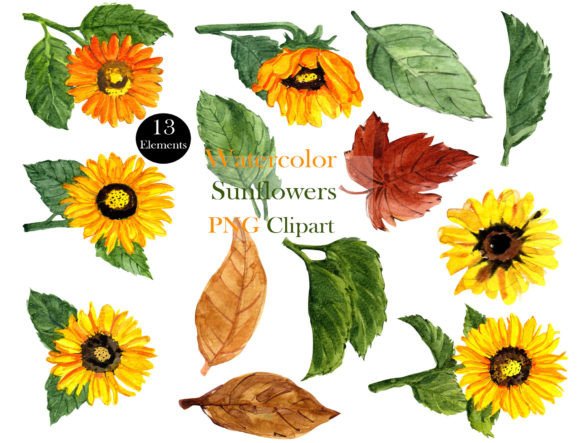 Download Elegant Watercolor Sunflower Clipart Set - Premium Resources
