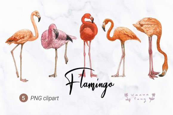 Download Flamingo Watercolor Animal Clipart, PNG - Animal Collection