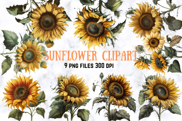 Download Sunflower Clipart Set - Sunflower clipart set Collection