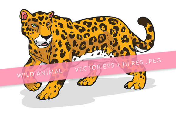 Download Jaguar Animal Illustration - Animal Collection