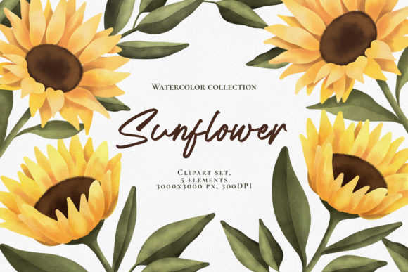 Download Watercolor Sunflower Clipart Set. PNG - Sunflower clipart set Collection