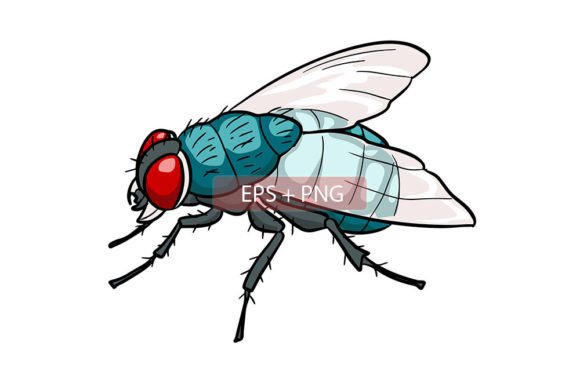 Download Flies Insect Animal Illustration - Animal Collection