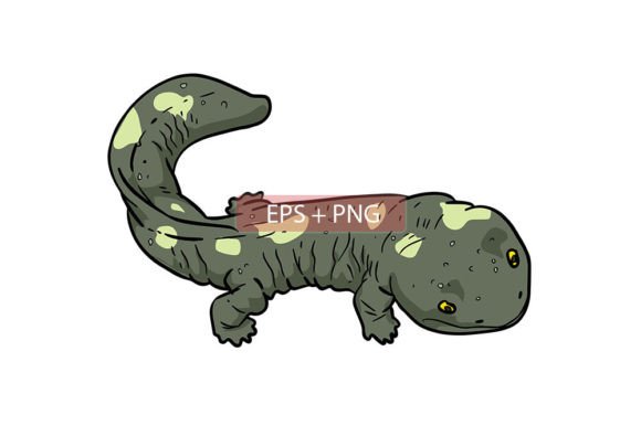 Download Salamander Lizard Animal Illustration - Animal Collection