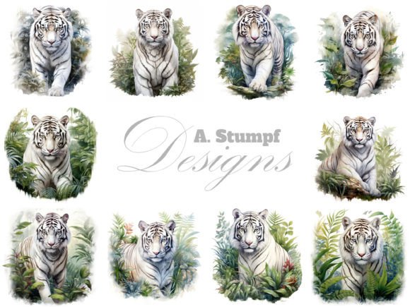 Download White Tiger Watercolor Animal Clipart - Animal Collection