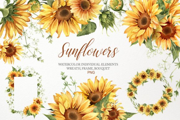 Download Watercolor Sunflower Clipart Bouquet PNG - Premium Bundle