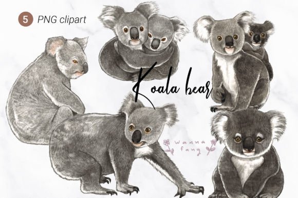 Download Koala Bear Watercolor Animal Clipart, PN - Animal Collection